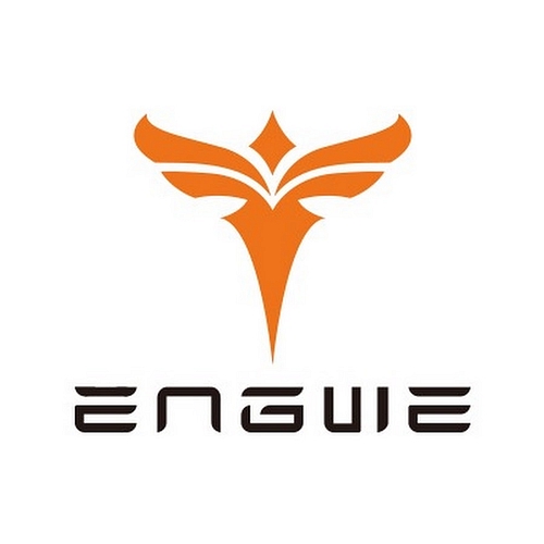 Engwe IT Coupons and Promo Code
